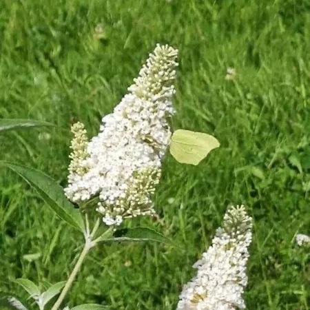 Classe Deux Etoiles De France N 17 Holiday home *