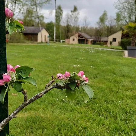 Holiday home Classe Deux Etoiles De France N 17 *