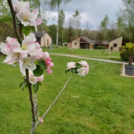 Classe Deux Etoiles De France N 17 Holiday home Signy-le-Petit