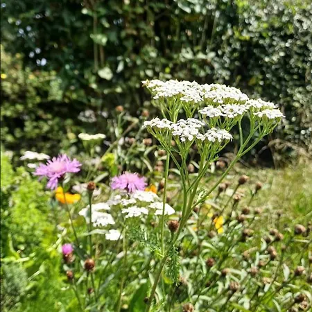 Classe Deux Etoiles De France N 17 Signy-le-Petit