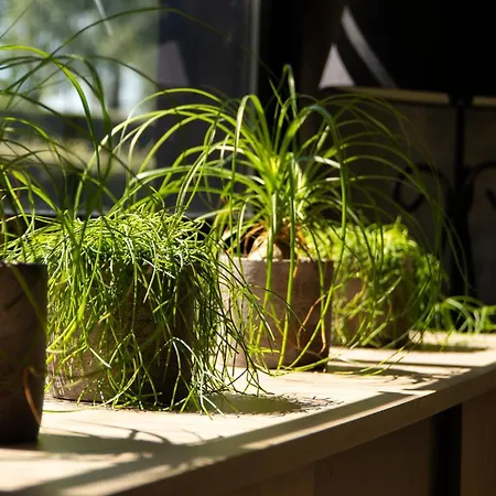 Classe Deux Etoiles De France N 17 Holiday home