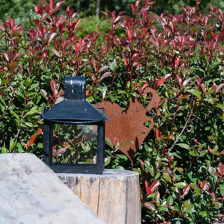 Classe Deux Etoiles De France N 17 Holiday home *